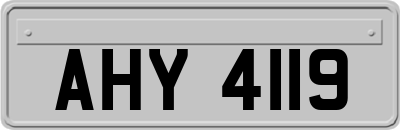 AHY4119