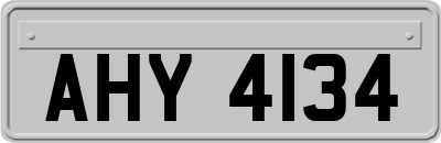 AHY4134