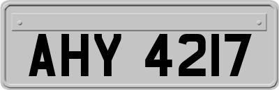AHY4217