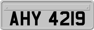 AHY4219