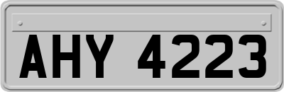 AHY4223
