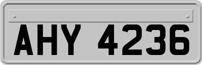 AHY4236