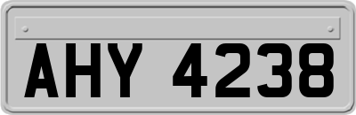 AHY4238