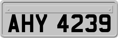 AHY4239