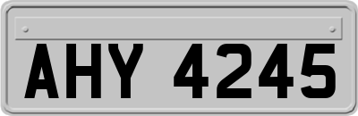 AHY4245