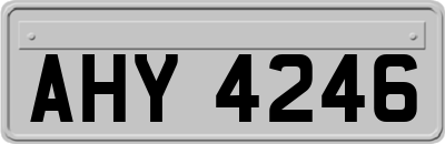 AHY4246