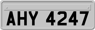 AHY4247