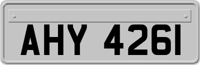 AHY4261