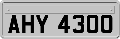 AHY4300