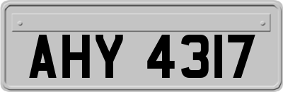 AHY4317