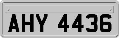 AHY4436