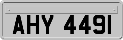 AHY4491