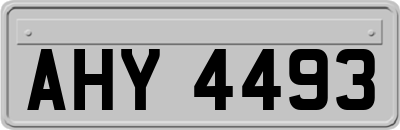 AHY4493