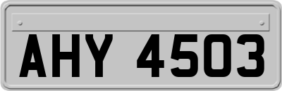 AHY4503