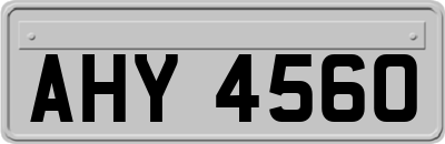 AHY4560