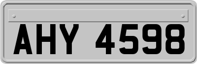 AHY4598