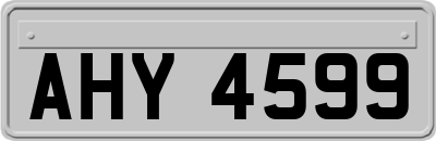 AHY4599