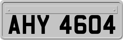 AHY4604