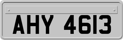 AHY4613
