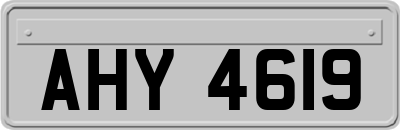 AHY4619