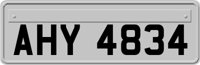 AHY4834