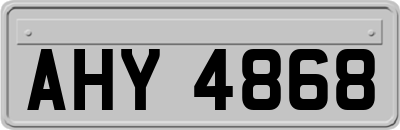 AHY4868