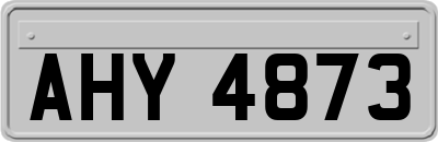 AHY4873