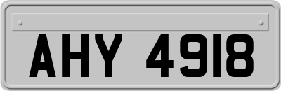 AHY4918