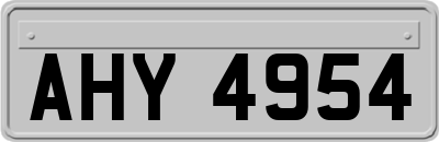 AHY4954