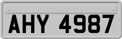 AHY4987