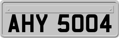 AHY5004