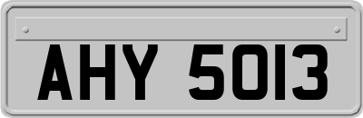 AHY5013