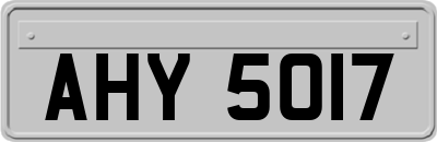 AHY5017