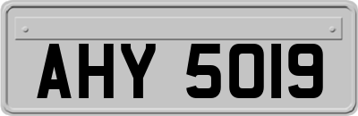 AHY5019