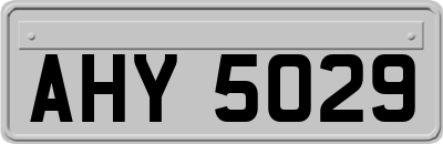 AHY5029