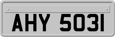 AHY5031