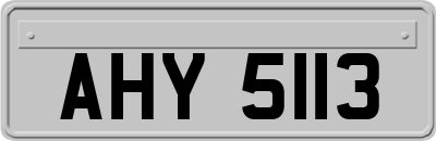 AHY5113