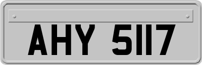 AHY5117