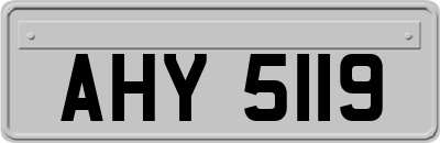AHY5119