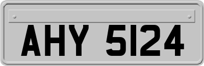AHY5124