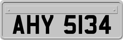 AHY5134