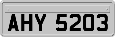 AHY5203