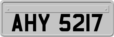 AHY5217