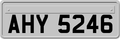 AHY5246
