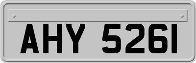 AHY5261