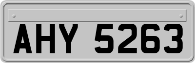 AHY5263