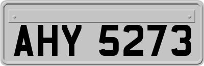 AHY5273