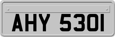 AHY5301