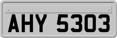AHY5303