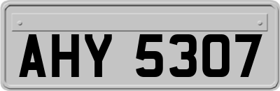 AHY5307